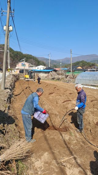 구선님의 기타작물 · 영농일지 작성글 사진
