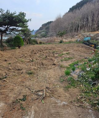 멧돼지님의 기타작물 · 영농일지 작성글 사진