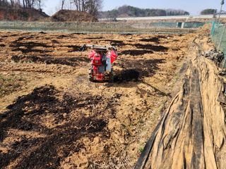 조선된장님의 감자 · 영농일지 작성글 사진