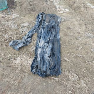 Blackbear님의 기타작물 · 영농일지 작성글 사진