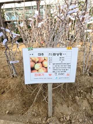 비타민님의 기타작물 · 영농일지 작성글 사진