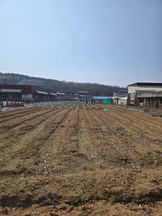 뚜벅이님의 기타작물 · 영농일지 작성글 사진