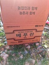 팜모닝 기타작물·영농일지 게시글 이미지