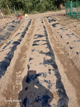 이름김지연님의 기타작물 · 영농일지 작성글 사진