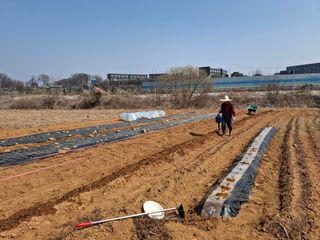 kh글로벌님의 기타작물 · 영농일지 작성글 사진