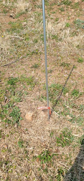 박종화님의 기타작물 · 영농일지 작성글 사진