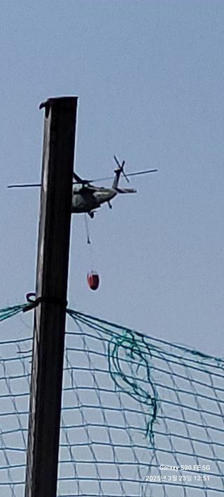 로즈마리님의 기타작물 · 영농일지 작성글 사진