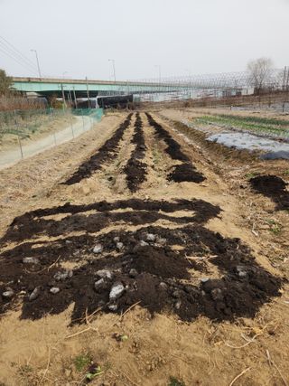 양기수님의 기타작물 · 영농일지 작성글 사진