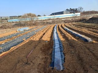 kh글로벌님의 기타작물 · 영농일지 작성글 사진