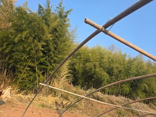 박정원님의 기타작물 · 영농일지 작성글 사진