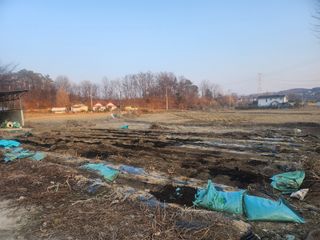 트랜스지방님의 기타작물 · 영농일지 작성글 사진