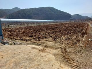 포도21494님의 벼 · 영농일지 작성글 사진