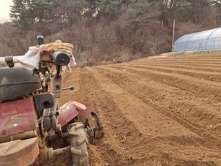 들깨 자색마 고추님의 기타작물 · 영농일지 작성글 사진