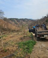 팜모닝 기타작물·영농일지 게시글 이미지