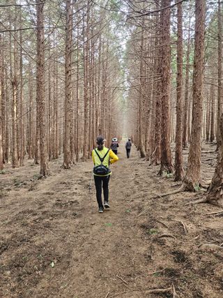 제주 지안이네농장님의 기타작물 · 영농일지 작성글 사진