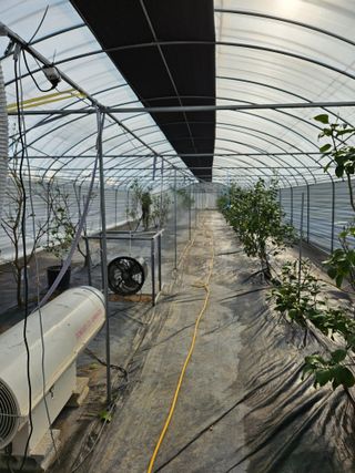 박미라님의 기타작물 · 영농일지 작성글 사진