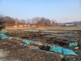 트랜스지방님의 기타작물 · 영농일지 작성글 사진