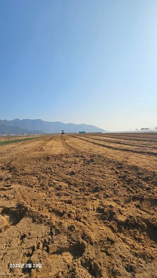 주하네팜(태추,부유님의 감 · 영농일지 작성글 사진