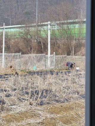 원탑님의 기타작물 · 영농일지 작성글 사진