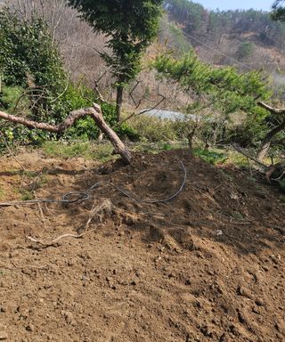 멧돼지님의 기타작물 · 영농일지 작성글 사진