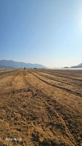 팜모닝 감·영농일지 게시글 이미지