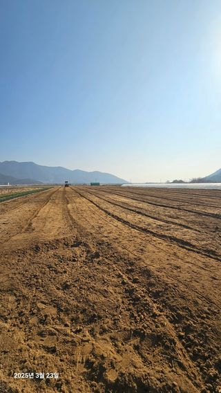 주하네팜(태추,부유님의 감 · 영농일지 작성글 사진