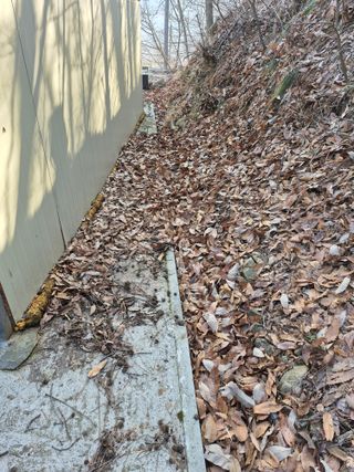 명각이윤구님의 기타작물 · 영농일지 작성글 사진