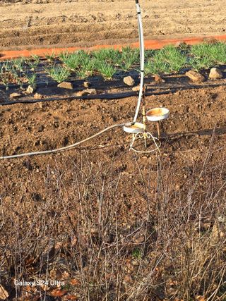 소병찬님의 양파 · 영농일지 작성글 사진