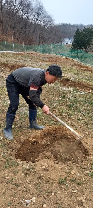 고병길님의 기타작물 · 영농일지 작성글 사진