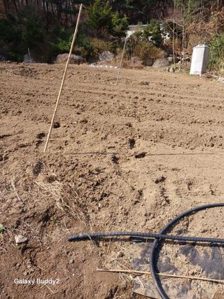 이름김지연님의 기타작물 · 영농일지 작성글 사진