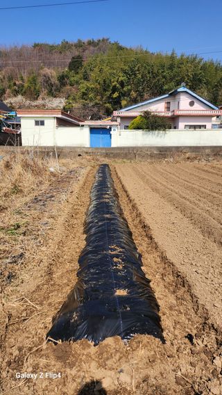 홍순철님의 기타작물 · 영농일지 작성글 사진