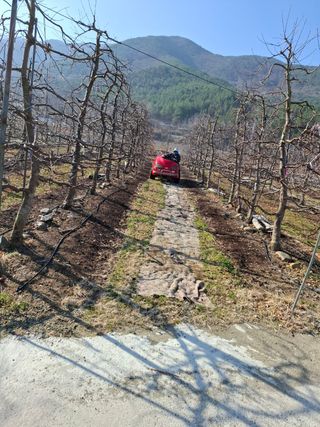 오금식(대청농원)님의 기타작물 · 영농일지 작성글 사진