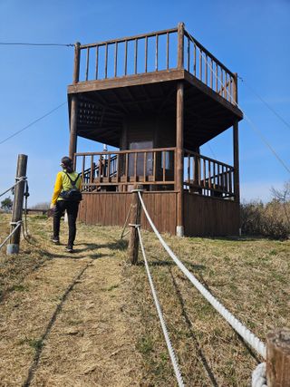 제주 지안이네농장님의 기타작물 · 영농일지 작성글 사진
