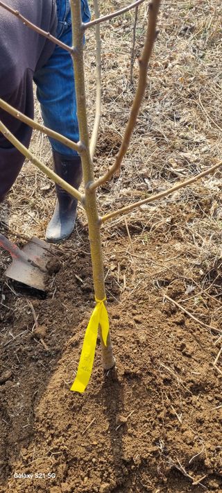 감자5892님의 기타작물 · 영농일지 작성글 사진