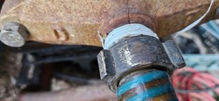 대봉농원 이경화님의 블루베리 · 영농일지 작성글 사진