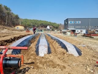 원인호님의 감자 · 영농일지 작성글 사진