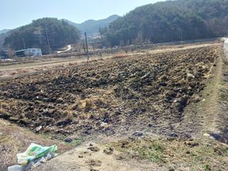 포도21494님의 벼 · 영농일지 작성글 사진
