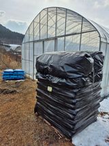 팜모닝 기타작물·영농일지 게시글 이미지