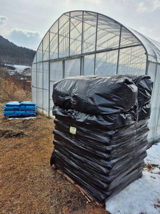 홍천.서석.안민기님의 기타작물 · 영농일지 작성글 사진