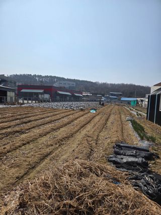 뚜벅이님의 기타작물 · 영농일지 작성글 사진