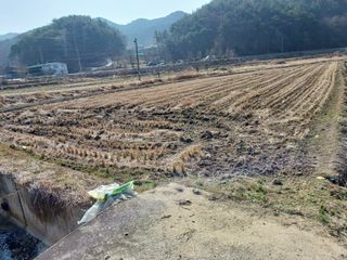 포도21494님의 벼 · 영농일지 작성글 사진