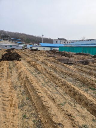 뚜벅이님의 기타작물 · 영농일지 작성글 사진