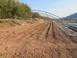 박정원님의 기타작물 · 영농일지 작성글 사진