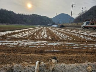 함영동님의 기타작물 · 영농일지 작성글 사진