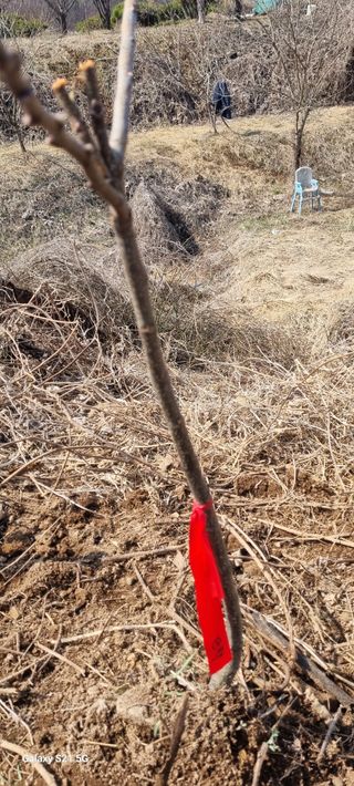 감자5892님의 기타작물 · 영농일지 작성글 사진