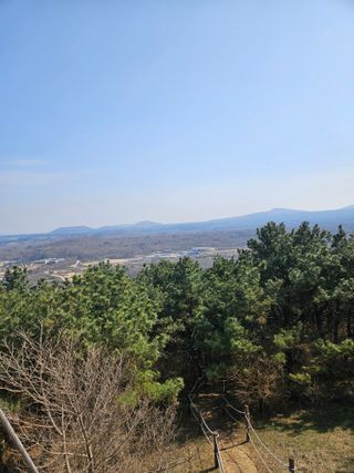 제주 지안이네농장님의 기타작물 · 영농일지 작성글 사진