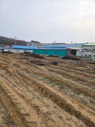 뚜벅이님의 기타작물 · 영농일지 작성글 사진