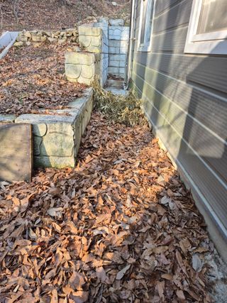 명각이윤구님의 기타작물 · 영농일지 작성글 사진