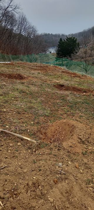 고병길님의 기타작물 · 영농일지 작성글 사진