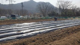 이경옥님의 기타작물 · 영농일지 작성글 사진